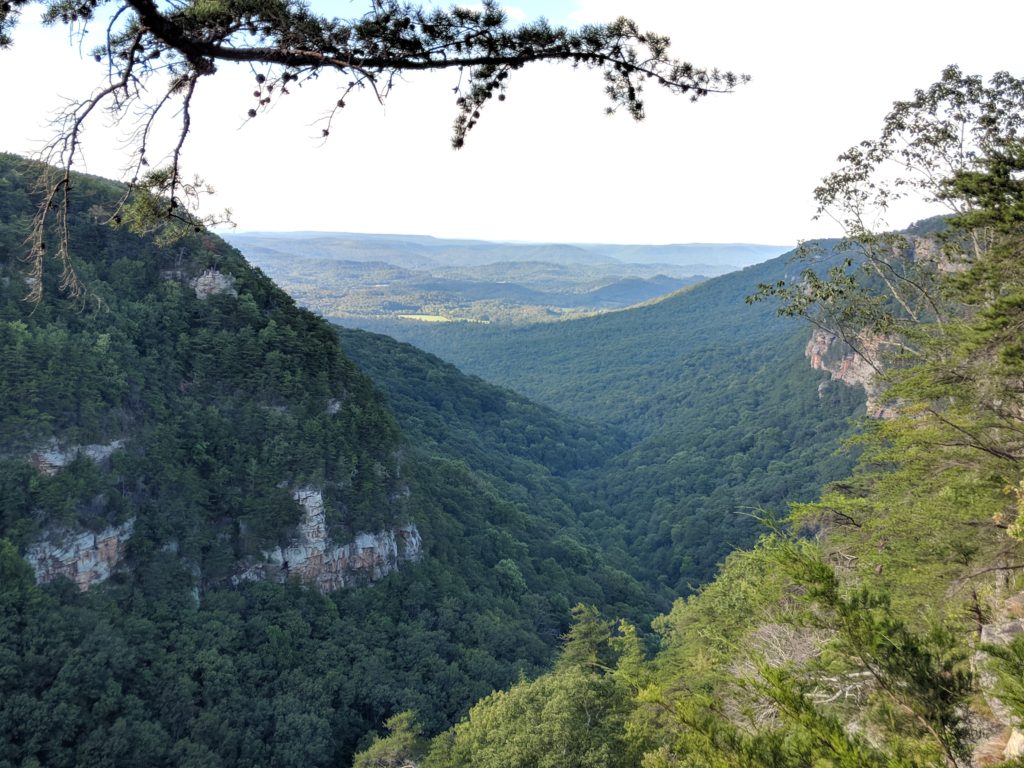 How To Explore Cloudland Canyon State Park In Georgia