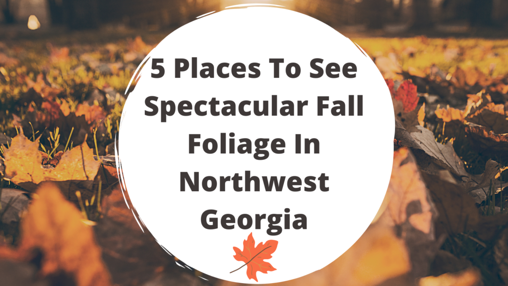 Places To See Spectacular Fall Foliage In Northwest Georgia