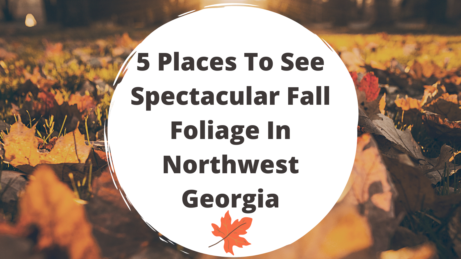 Places To See Spectacular Fall Foliage In Northwest