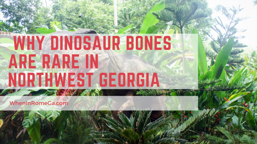  Why Dinosaur Bones Are Rare In Northwest Georgia