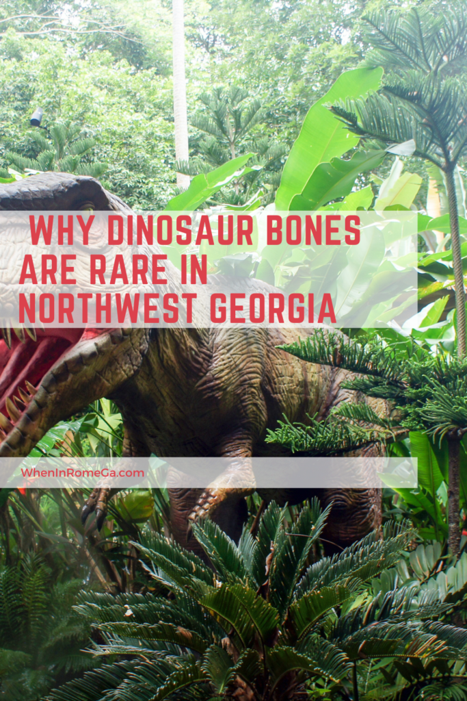  Why Dinosaur Bones Are Rare In Northwest Georgia