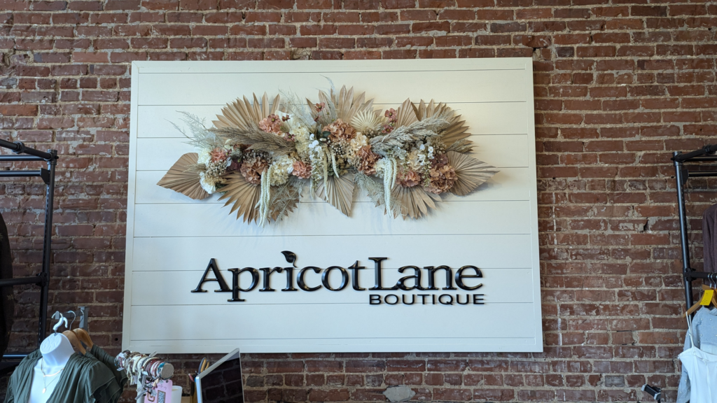 Experience A New Way To Shop At Apricot Lane Boutique In Downtown Rome, Ga