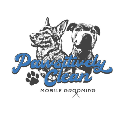 pawsitivelyclean20.wixsite.com