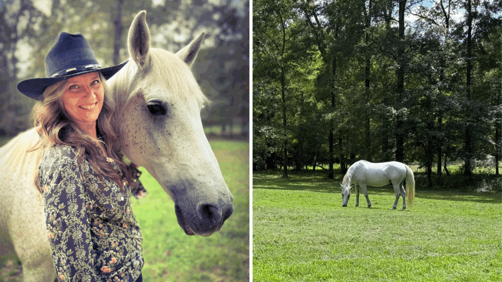 Discover Eloheh Equine, a faith-based ministry in Rome, GA. We offer free equine therapy for women recovering from cancer, using horses to bring harmony and peace.