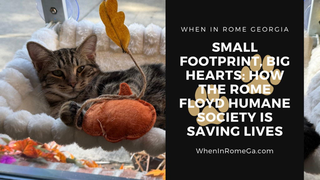 Small Footprint, Big Hearts: How the Rome Floyd Humane Society is Saving Lives